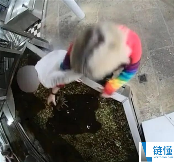 英国“白左”大妈强闯餐厅放生龙虾被告，最终获缓刑