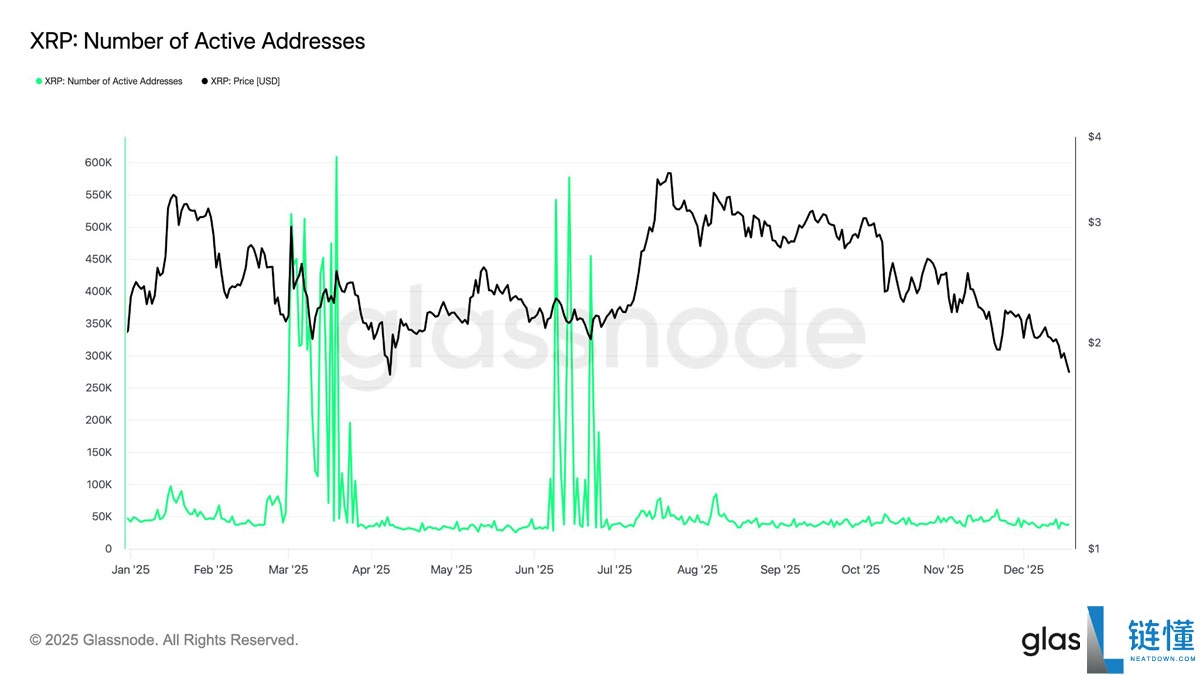 瑞波币 (XRP) 2026 年能否突破 5 美元？深度解析价格预测与前景