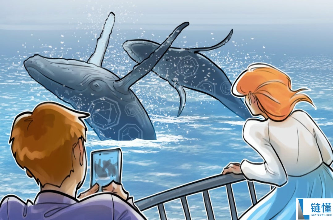 鲸鱼大额加密货币转入币安（Binance）：买家为何缺席？市场深度解析