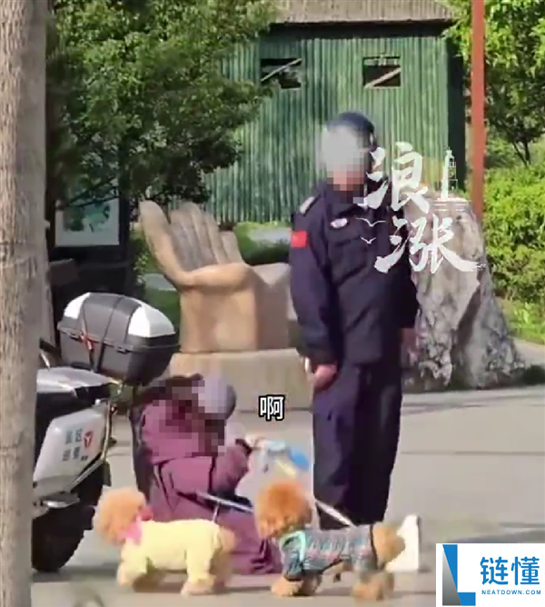女子景区遛狗不牵绳遭劝阻，反倒地碰瓷保安引众怒