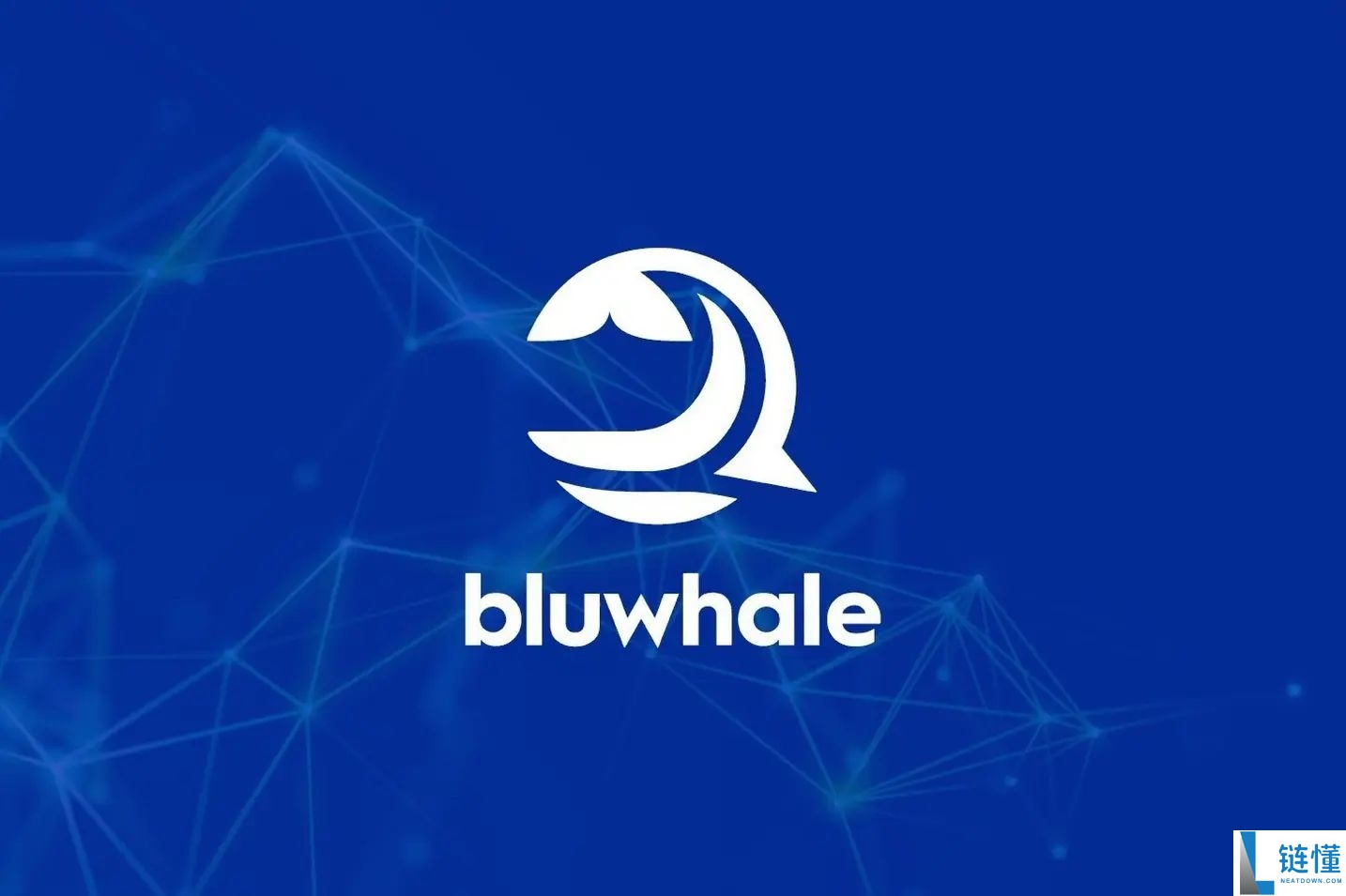 Bluwhale AI (BLUAI) 深度解析：运作机制、代币经济学与未来前景