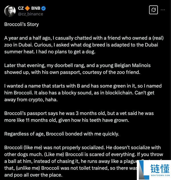 BROCCOLI 代币价格预测 2026：它会成为下一个迷因币传奇吗？