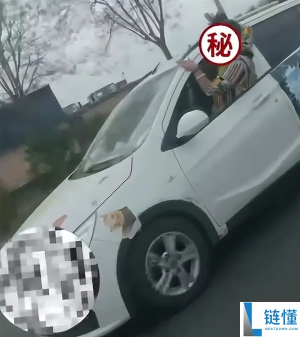 女子开车半个身子探出窗外吓坏旁车！交警回应：当事人存精神异常