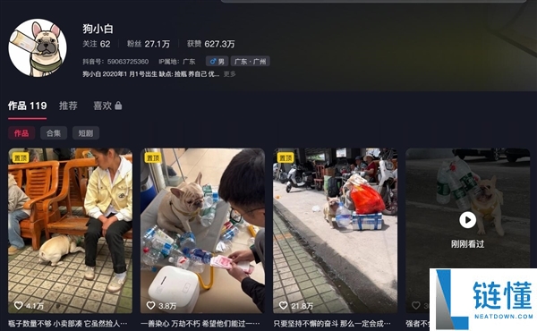 小狗捡瓶子攒 10 万？主人揭秘：大部分收益来自短视频