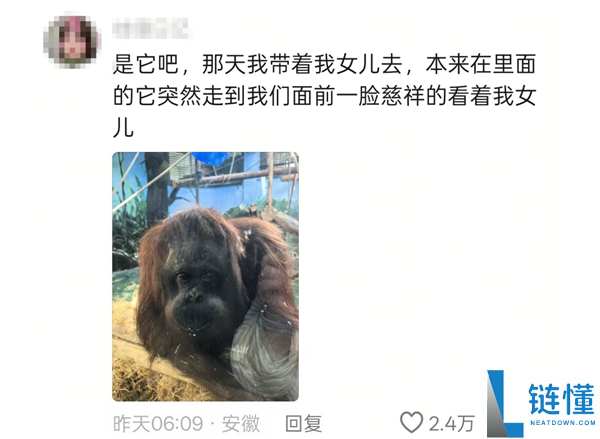 猩猩当众落泪引争议：网友质疑动物园存在的意义