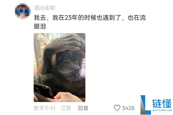 猩猩当众落泪引争议：网友质疑动物园存在的意义
