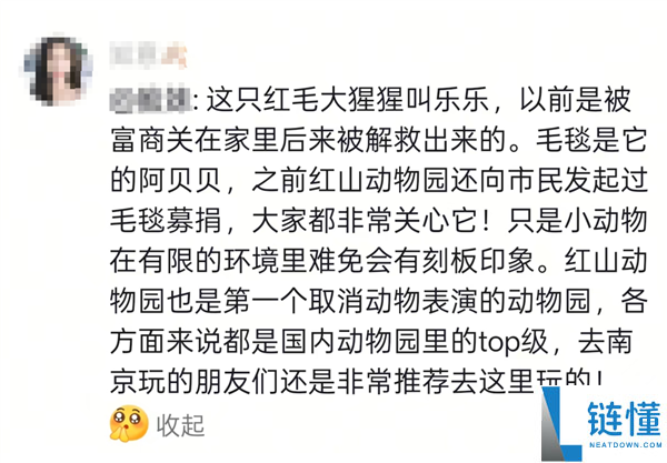 猩猩当众落泪引争议：网友质疑动物园存在的意义