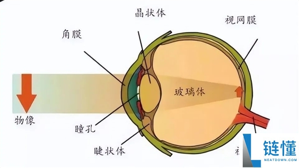 男子直视太阳 10 分钟致视力骤降至 0.4:盲目“晒眼睛”的危害警示