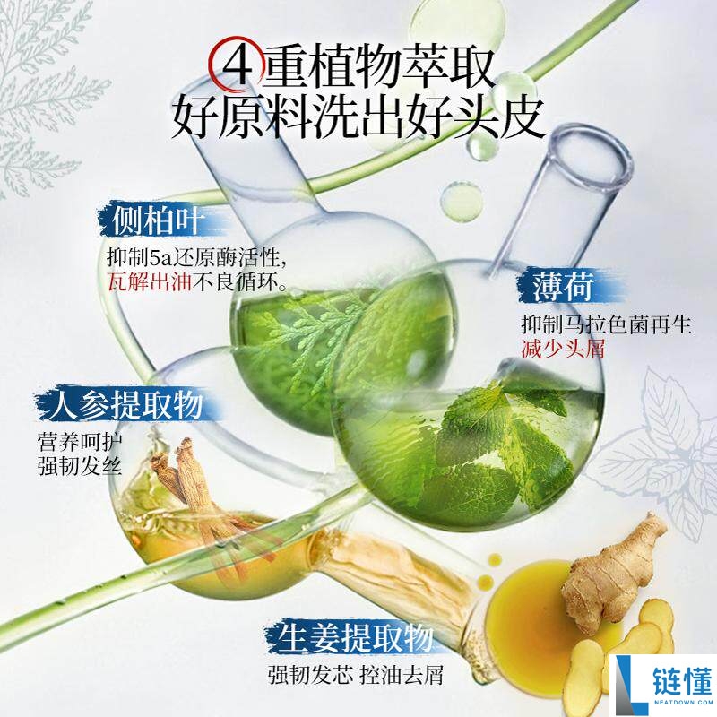 霸王侧柏叶洗发水 500ml：防脱控油去屑，29 元包邮正品特惠