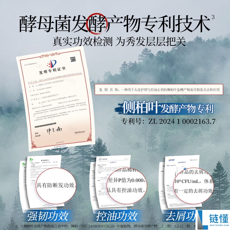 霸王侧柏叶洗发水 500ml：防脱控油去屑，29 元包邮正品特惠