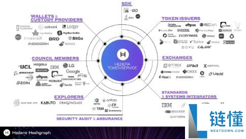 Hedera Hashgraph 是什么