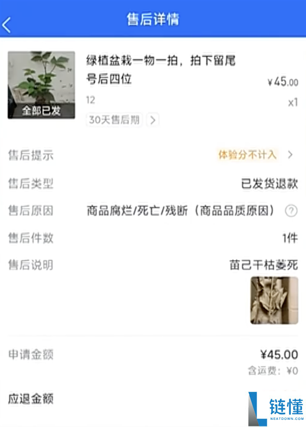 新店首单遇 AI 改图白嫖？平台裁定引争议，老板心凉退店