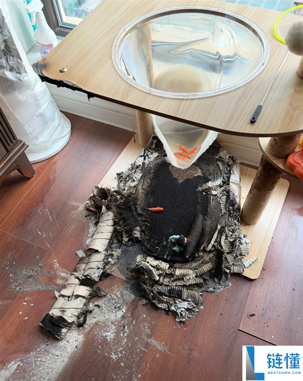 老人猫爬架透明碗养鱼聚光起火，浇水灭火惊险瞬间