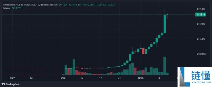 WHITEWHALE 2026 年价格走势预测：深度解析近期暴涨原因与未来行情