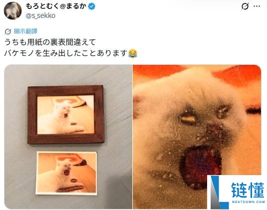 日本娃妈打印出恐怖照片？真相竟是相纸塞反了！网友笑翻