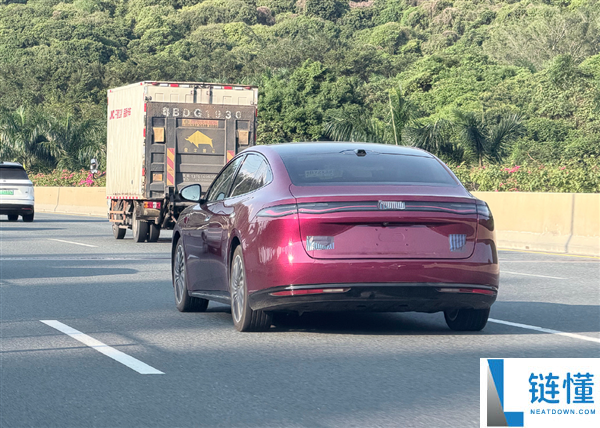 比亚迪海豹 08 实车曝光：海洋网旗舰轿车，大波浪尾灯成最大亮点