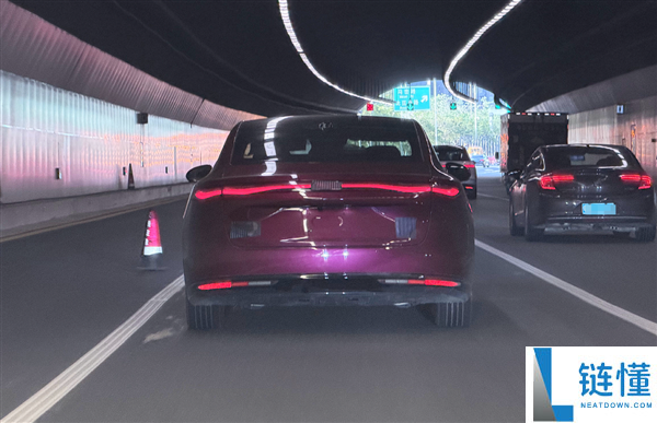 比亚迪海豹 08 实车曝光：海洋网旗舰轿车，大波浪尾灯成最大亮点