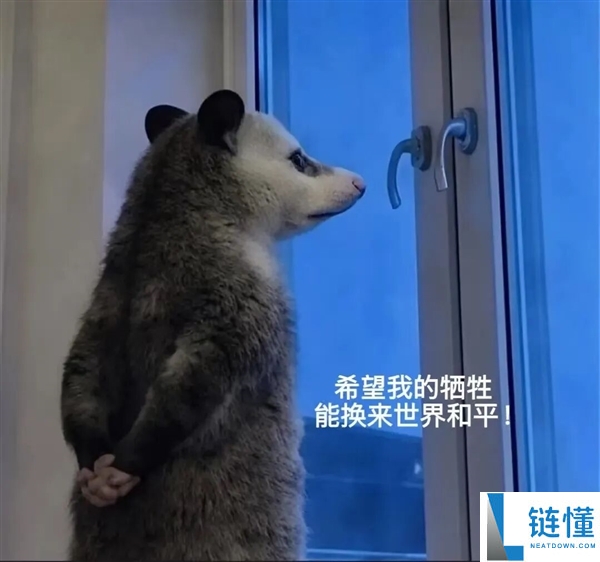 一起毁灭吧！科学家利用爆火负鼠消除入侵缅甸蟒