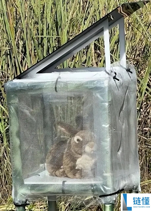 一起毁灭吧！科学家利用爆火负鼠消除入侵缅甸蟒