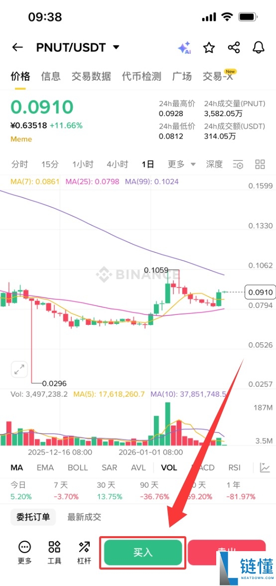 PNUT 币是什么？2024 最新价格、未来前景与购买指南