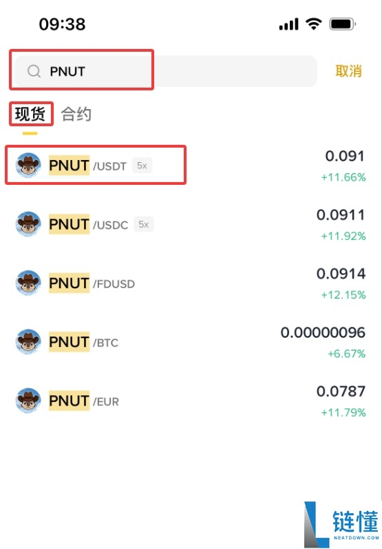 PNUT 币是什么？2024 最新价格、未来前景与购买指南