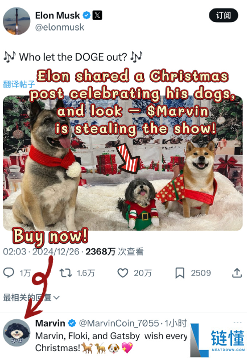 puppies币为啥还没上交易所