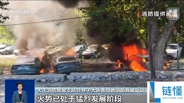 74岁老人随手烧杨絮引发火灾 导致20辆汽车被烧毁 专家分析责任划分