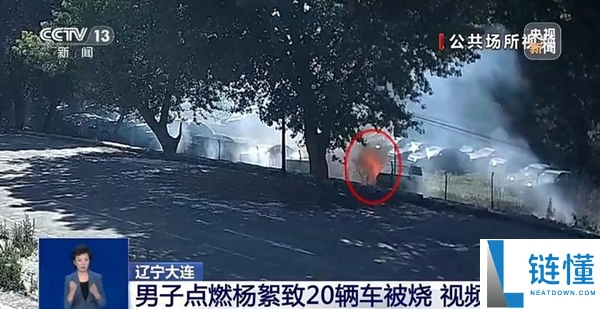 74岁老人随手烧杨絮引发火灾 导致20辆汽车被烧毁 专家分析责任划分