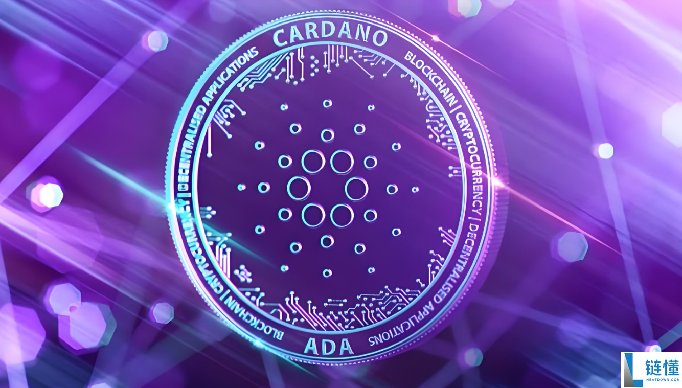 艾达币（ADA）是否为空气币？其实际应用价值分析