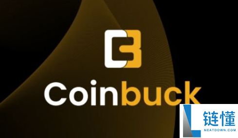 Buck币是什么币种？投资价值分析与入门指南