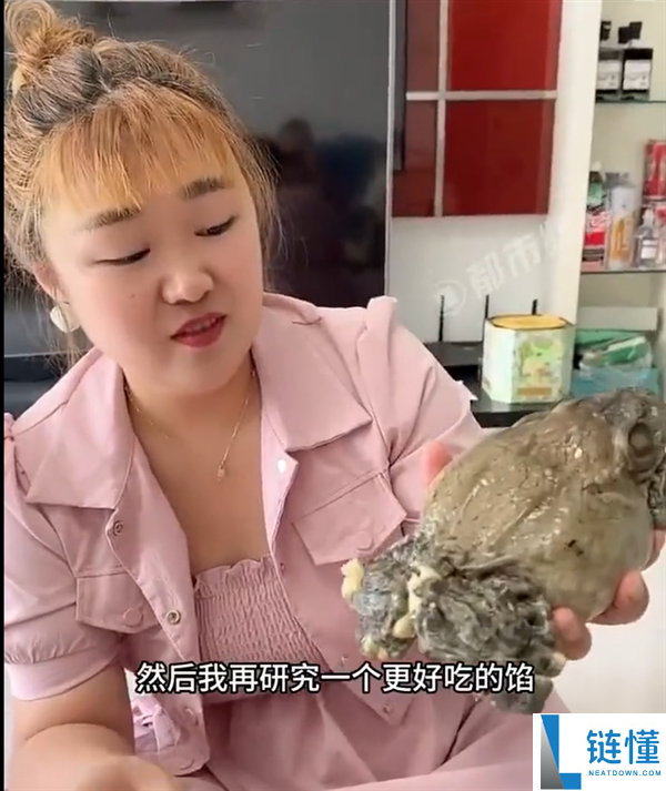 女子自制蛤蟆粽子：蛤蟆肚中塞糯米蛋黄引热议【甜咸粽子大战】