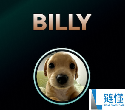 billy是什么币