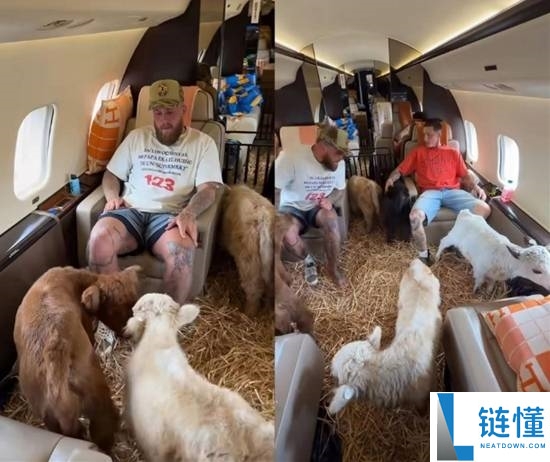 美国拥有2000万粉丝的博主搭乘私人飞机带牛出行引热议 质疑其不环保
