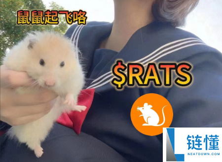 RATS币简介：什么是RATS币及其是否为老鼠币？