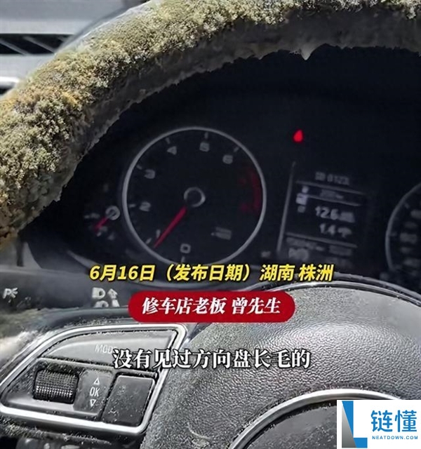 车库停车一个月，方向盘和座椅竟长满霉菌！修车师傅：从业多年首次见到
