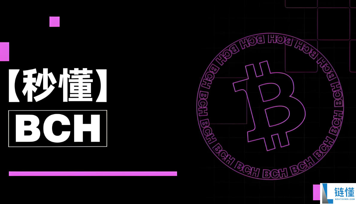 bch是什么