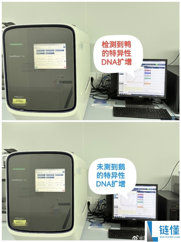 DNA检测揭秘：鹅腿阿姨实售鸭腿食材真相曝光