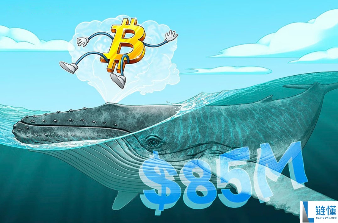 萨托时代巨鲸苏醒：沉睡 13 年转移 8500 万美元比特币（BTC）