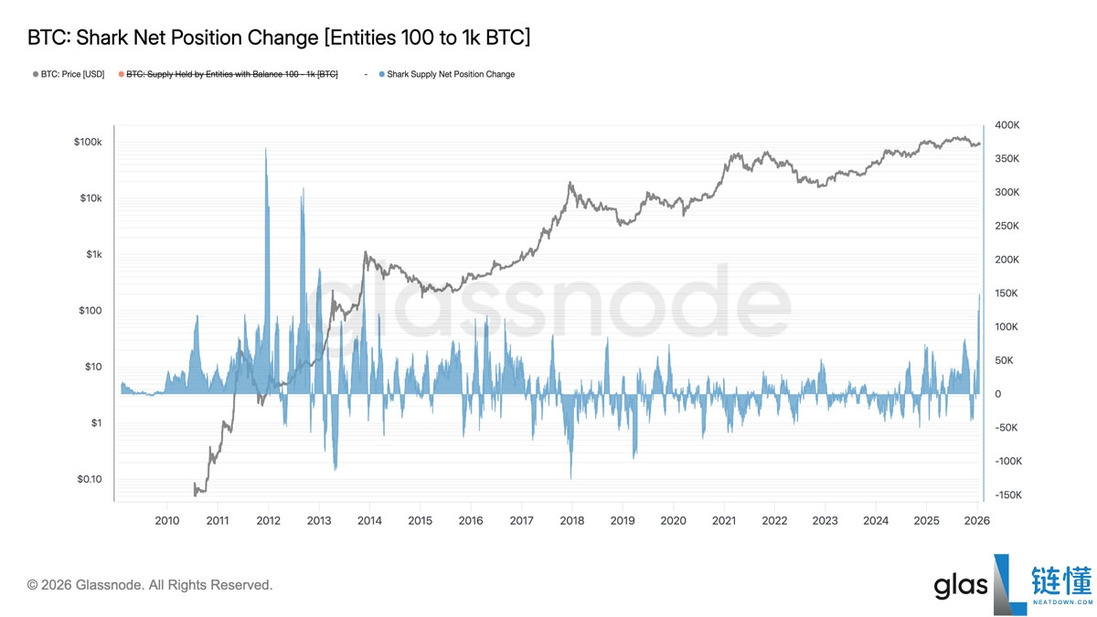 比特币大鳄疯狂囤积 BTC 重现 2013 年盛况？深度解析“完美多头陷阱”