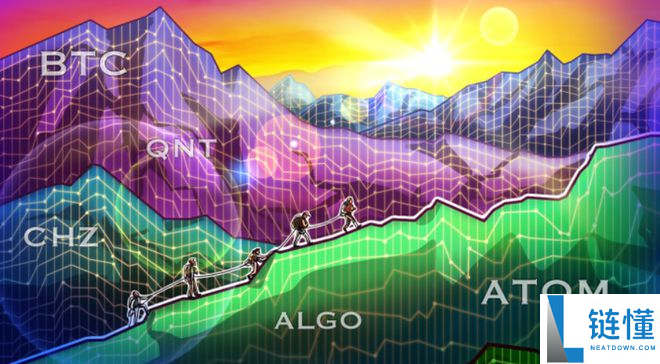 algo币为什么一直跌