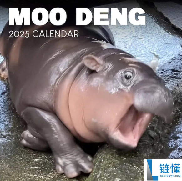 河马币不能随便碰吗