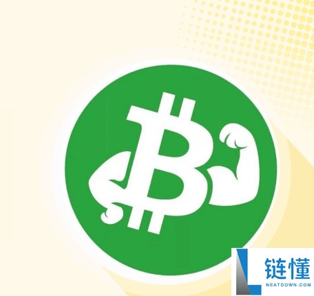 FITCOIN 是什么？深度解析其运作机制与投资前景
