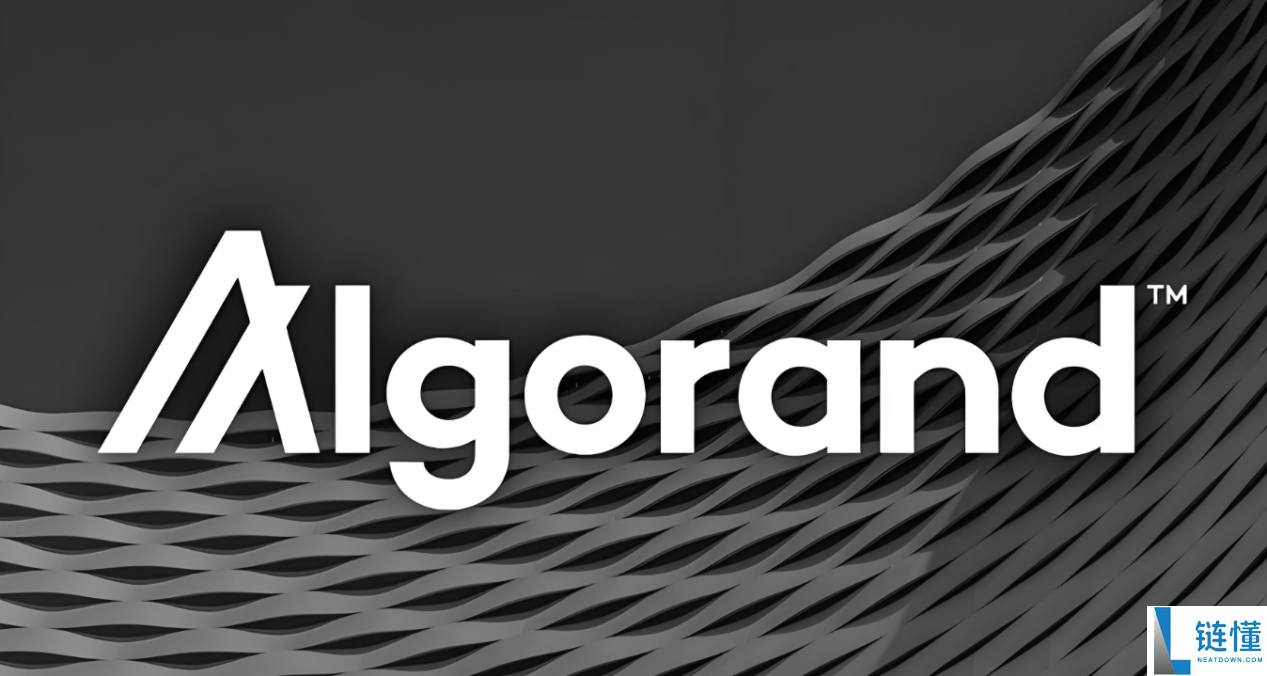 Algo币是什么？是否龙头币？全面解析Algo币投资入门指南