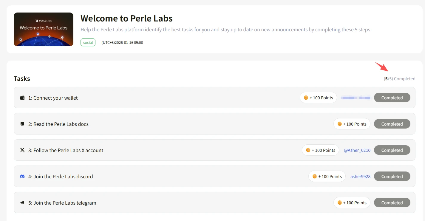 Perle Labs 项目详解：新手必看积分活动交互教程与操作指南