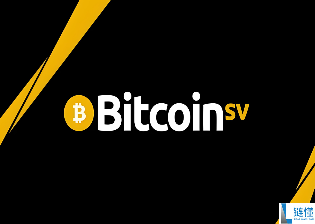 BSV币中文名称及缩写介绍：BSV币的中文版详细解读