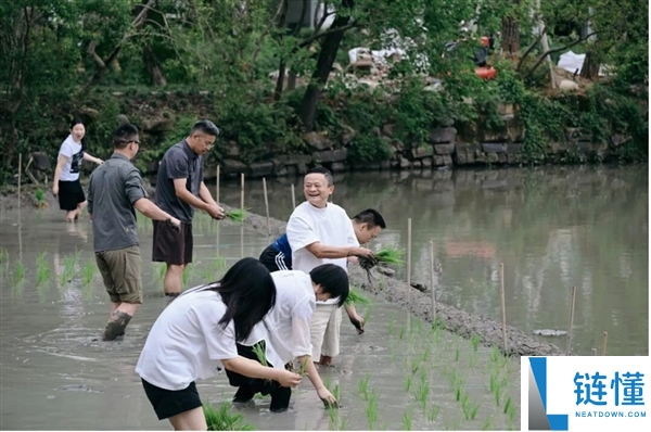 马云低调出现在麻省理工与哈佛大学，水田插秧之后的惊喜访问