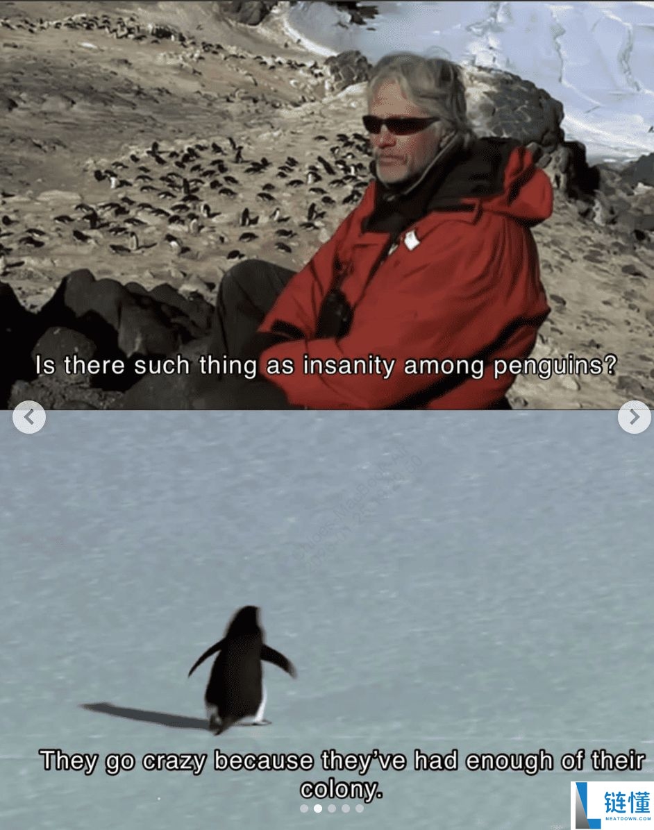 Nietzschean Penguin(PENGUIN)币简介及价格飙升原因解析