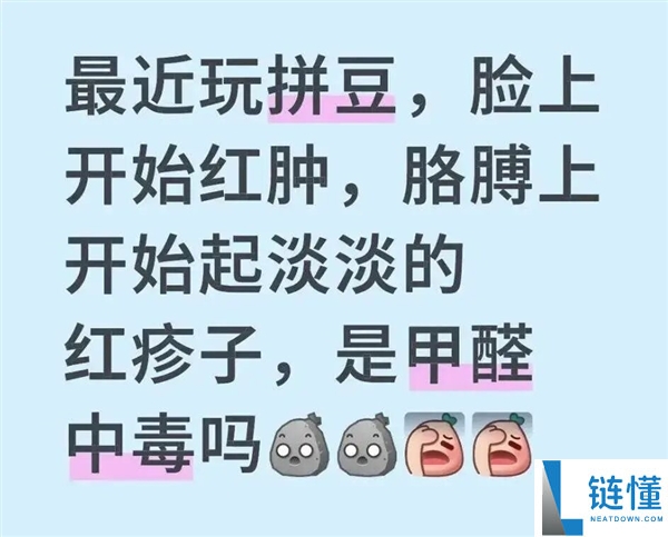 拼豆正式迈入大考研时代,助力学子成功备考