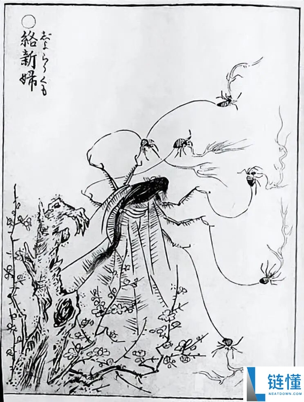 云南男子生吃“花蜘蛛”,称味道如蟹黄引发热议!