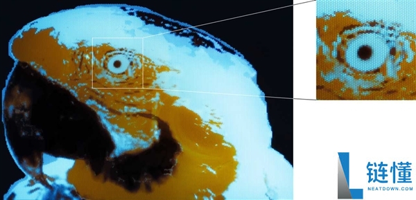 科学家研发超高分辨率微型OLED,尺寸仅如变形虫般小巧!